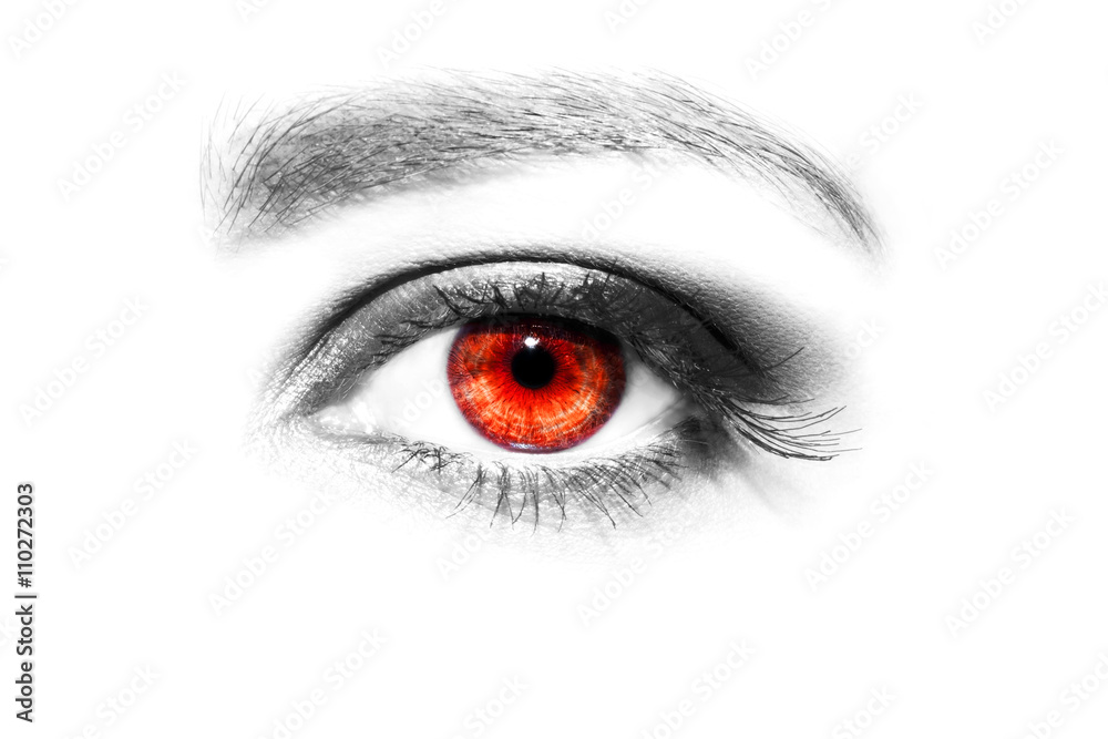 Eye Makeup. Beautiful Eyes Make up detail, eyelash extension Eye Makeup. Beautiful Eyes Make up detail, eyelash extension