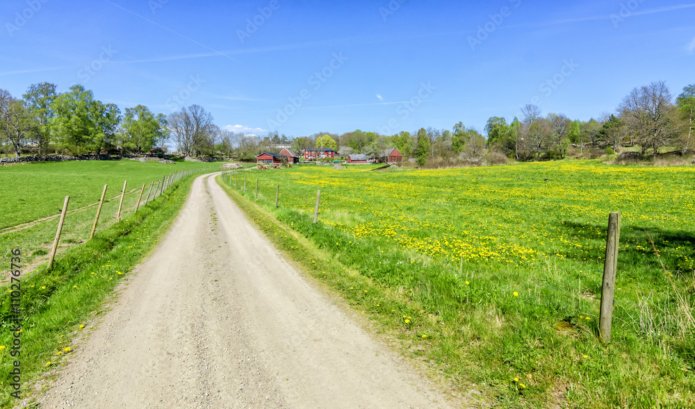Spring road to the Swedish farm