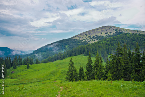 Landscape in the Carpathian mountains