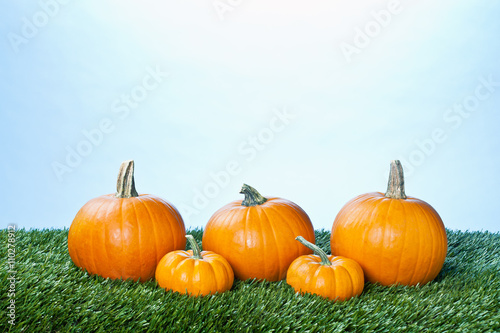 assortment of pumpkins