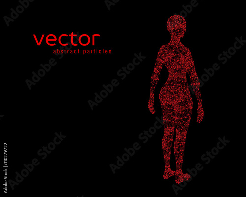 Vector illustration of female body