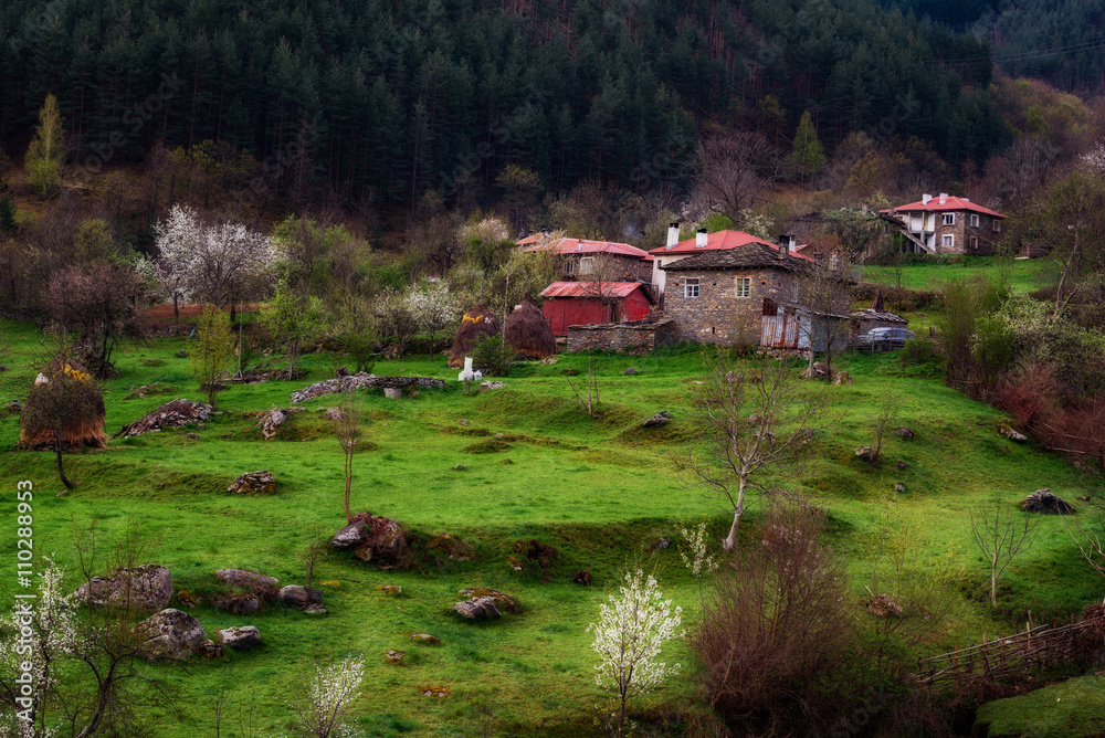 Spring time at Kitnitsa village, Eastern Rhodopes, Bulgaria