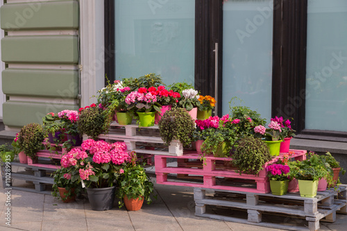 Flowers outside of flower shop © Shchipkova Elena