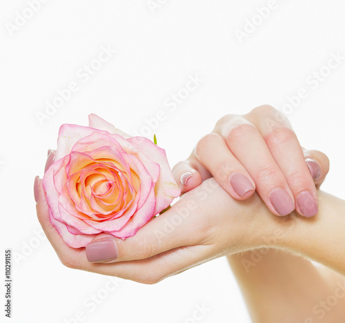 Hands with natural color nails manicure holding delicate pink rose flower