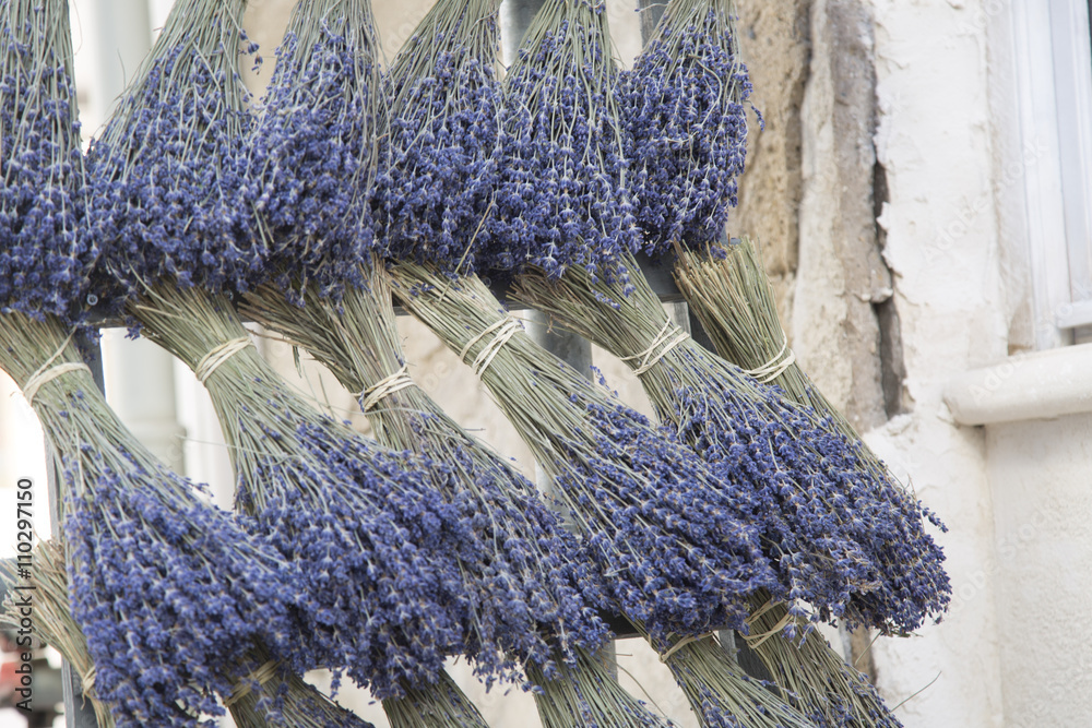 Naklejka premium Lavender; Saint Remy de Provence