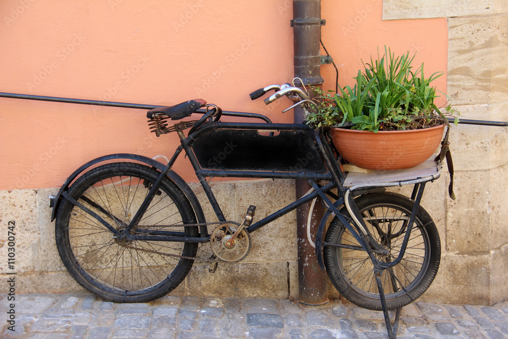 Bicycle with a flowerpot