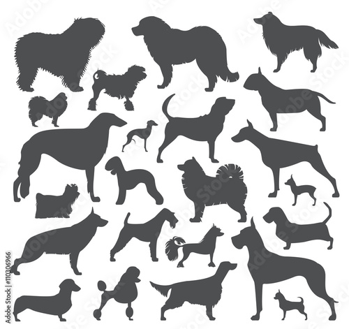 Dog icon set. Heatlh care, vet, nutrition, exhibition