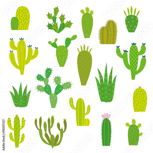 Cactus collection in vector illustration 
