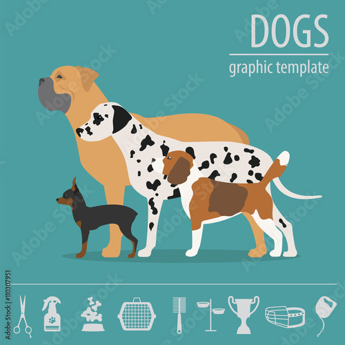 Dog info graphic template. Heatlh care, vet, nutrition, exhibiti