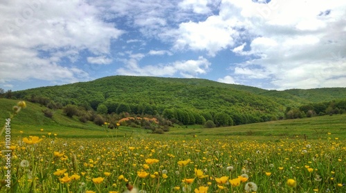 Green field mountain landscape
