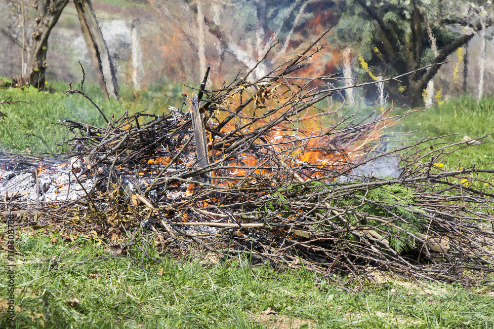 Fire and Smoke from during Burning branches Fire and Smoke from during Burning branches