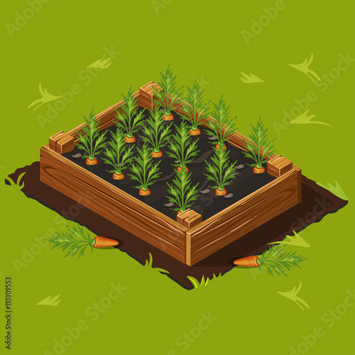 Vegetable Garden Box with Carrots. Set 1