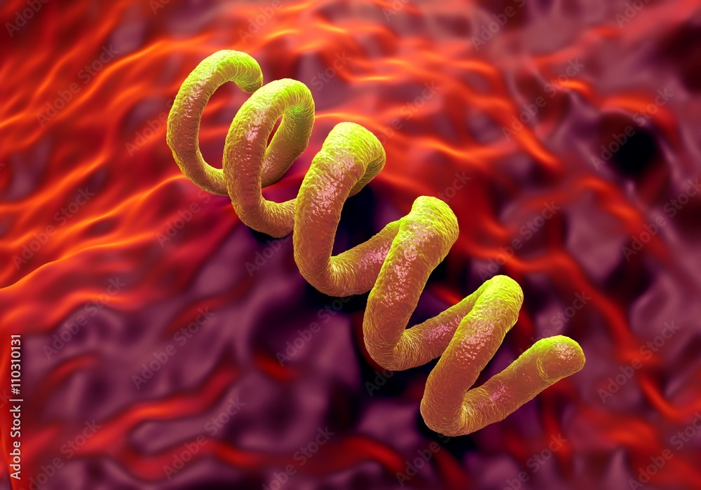 Как выглядит сифилис под микроскопом Treponema pallidum syphilis bacterium фотография Stock Adobe Stock