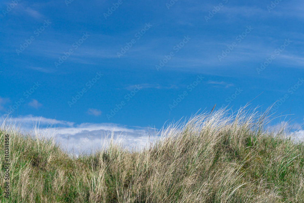 Dünenpanorama an der Nordseeküste Dänemarks Dünenpanorama an der Nordseeküste Dänemarks