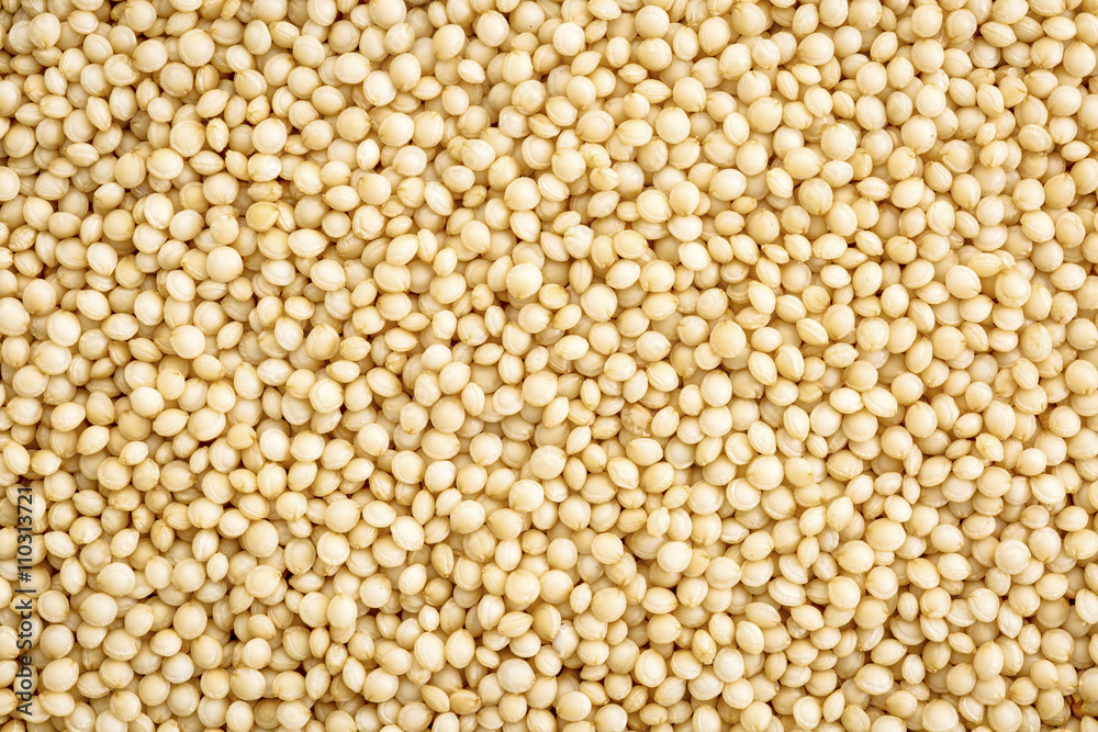 amaranth grain life size macro amaranth grain life size macro