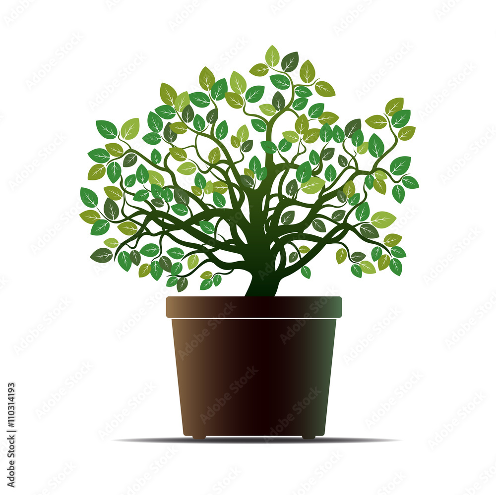 Fototapeta premium Green Flower and Pot. Vector Illustration.