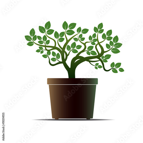 Green Flower and Pot. Vector Illustration.