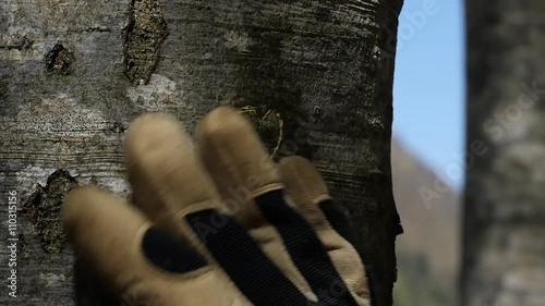 a man draws a heart on a tree photo