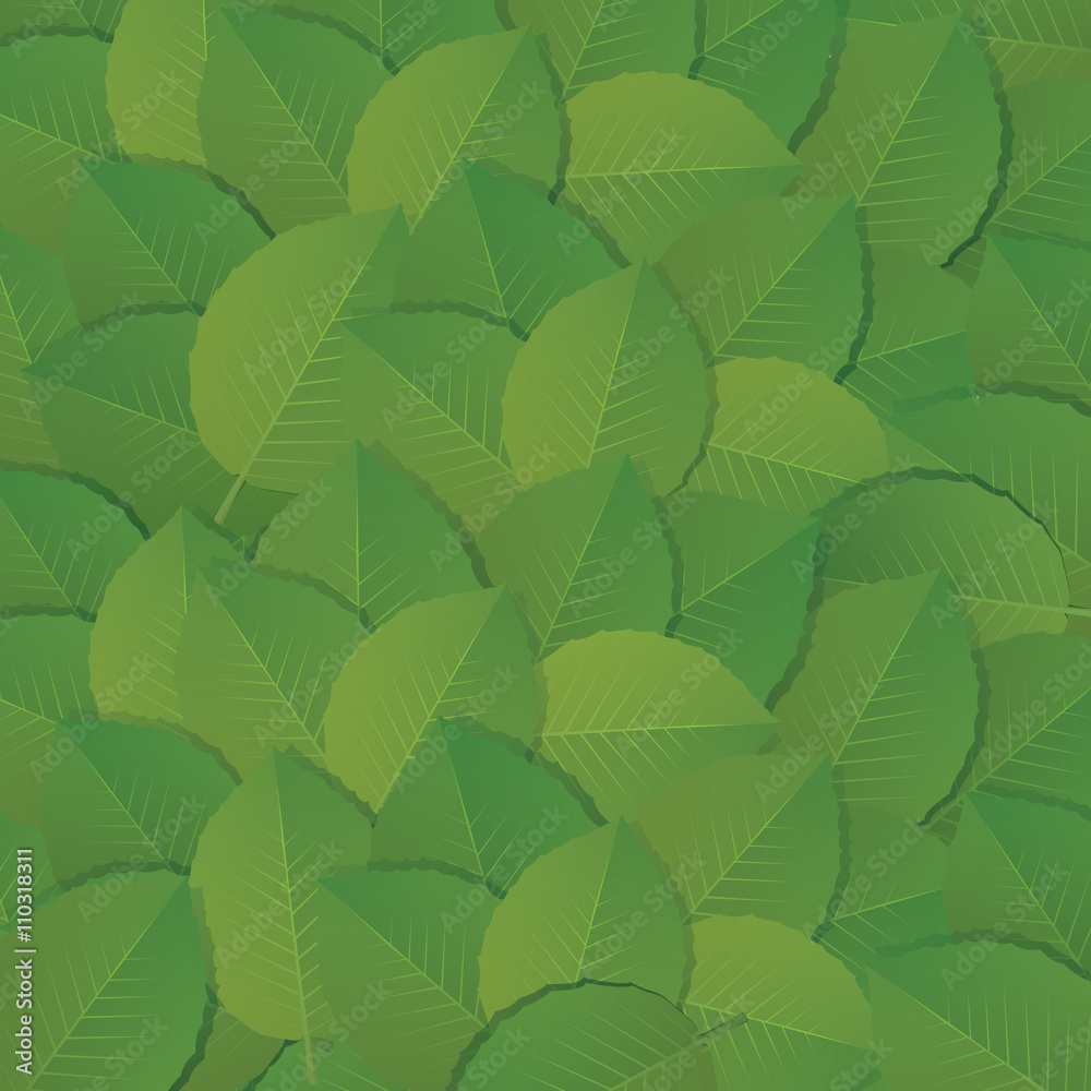 Green Leafs. Vector illustration and Background.
