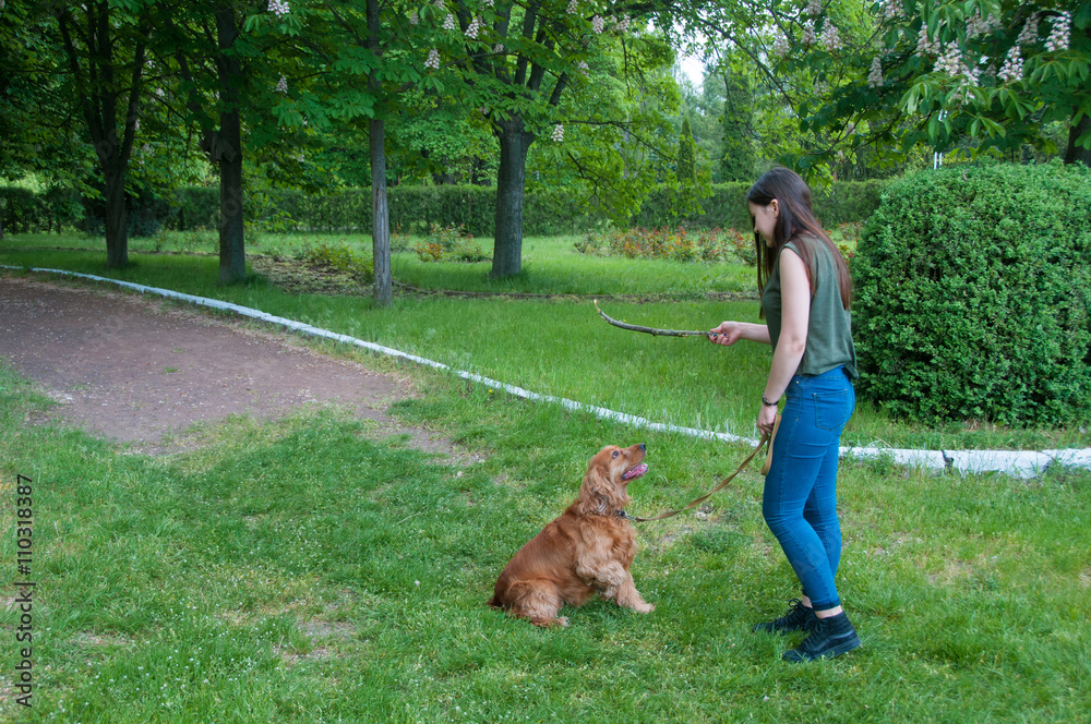 Young woman playing with english cocker spaniel outdoors in the park