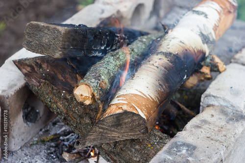 campfire wood for barbecue