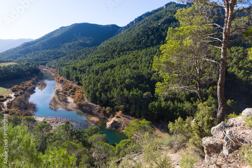 Mountains river with forest riverside photo