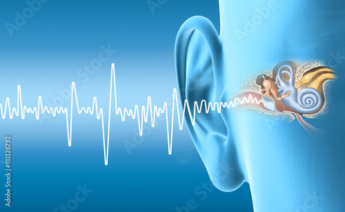 Human ear anatomy with sound wave, medically accurate 3D illustration photo