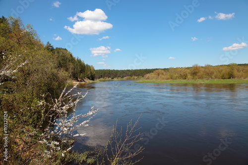 Neris river in spring