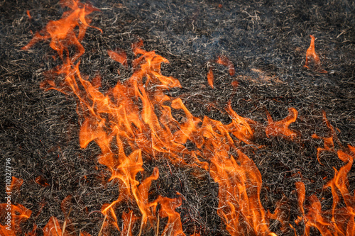 Fire burning dry grass field in Thailand