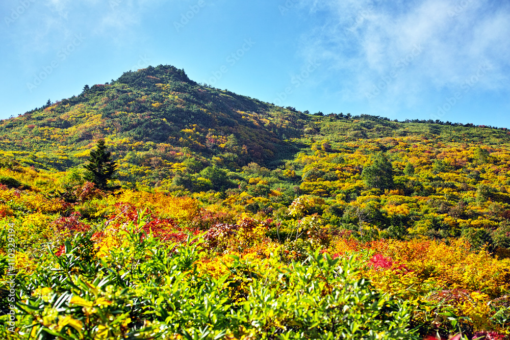 秋の蓬莱山　紅葉