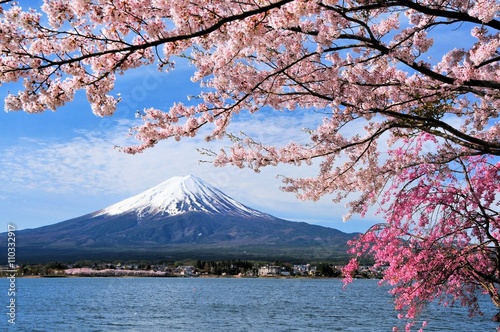 富士山と桜