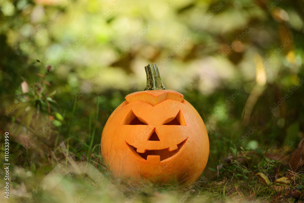 Halloween scary pumpkin in autumn forest Halloween scary pumpkin in autumn forest
