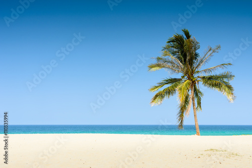 Fototapeta Naklejka Na Ścianę i Meble -  tropical beach with coconut tree