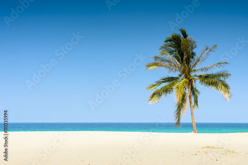 tropical beach with coconut tree