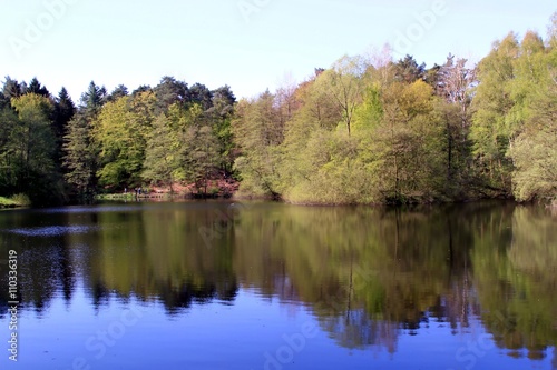 Kleiner See im Frühling