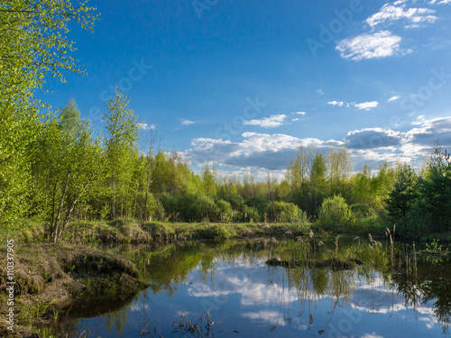 Fototapeta Naklejka Na Ścianę i Meble -  Forest lake under blue cloudy sky