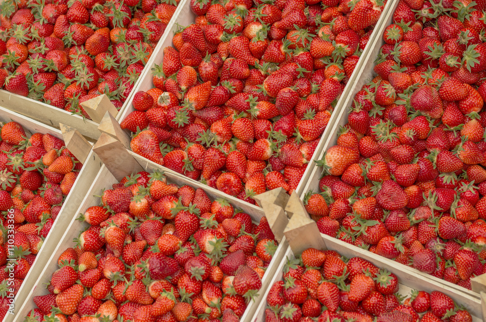 Fresh organic strawberries in crates Fresh organic strawberries in crates