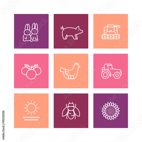 Farm, ranch line icons, rural machinery, agrimotor, harvester, hen, pig, rabbits, crop, vegetables, square icons isolated on white, vector illustration