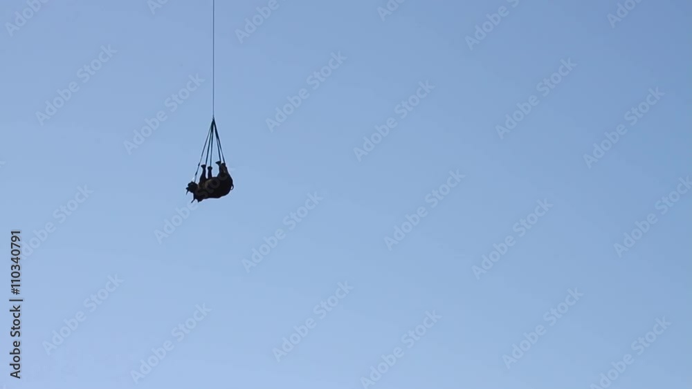 A rhino is airlifted upside down by helicopter as part of a conservation effort, relocating it from a remote area to a safer one to prevent poaching. A rhino is airlifted upside down by helicopter as part of a conservation effort, relocating it from a remote area to a safer one to prevent poaching.