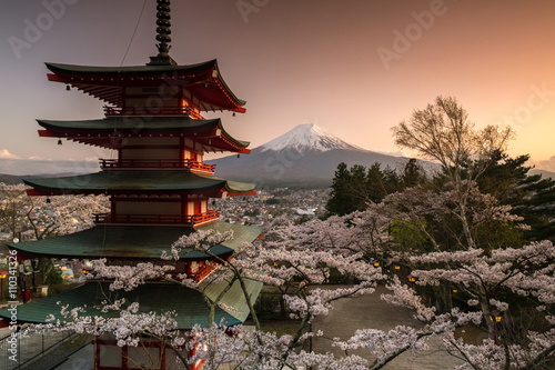 Beautiful view of Mountain Fuji and Chureito Pagoda with cherry blossom in spring, Fujiyoshida, Japan