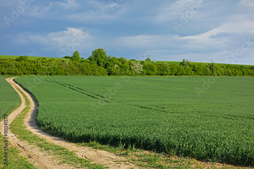 green field and macadam road next to a field and blue sky