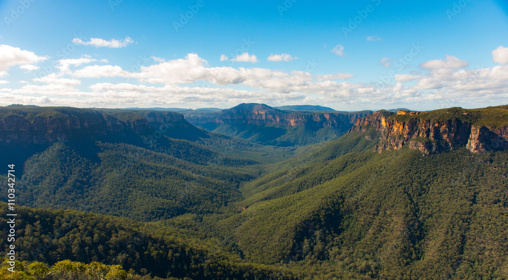 Naklejka premium green forest of Blue mountains national park