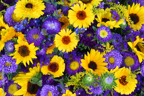 decorative sunflowers and blue asters © irisphoto1