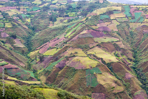 Farmland Landscape in Peru