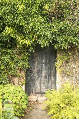 Overgrown ivy round old door