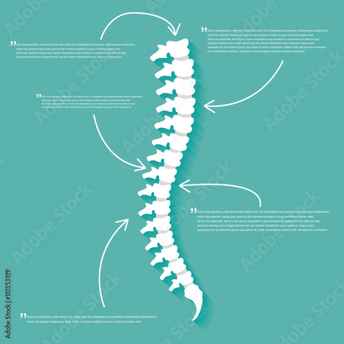 Flat spine icon for orthopedic therapy, diagnostic center.