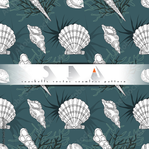 Seashells vector seamless pattern with algae, corals in different forms turquoise background. Sea life, underwater isolated hand drawn concept illustration.
