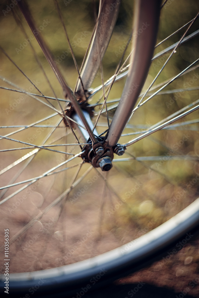 Forward wheel of the bicycle.