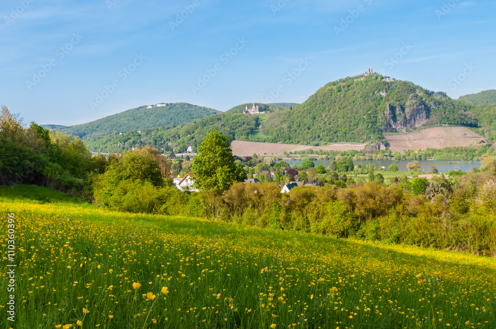 Obraz premium Blick zum Siebengebirge im Frühling; Deutschland
