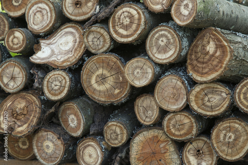 Wood logs background